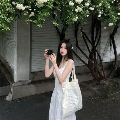 漂亮马驹